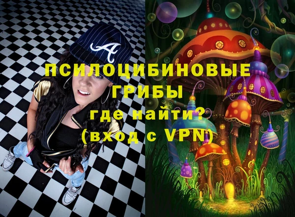 бошки Козельск