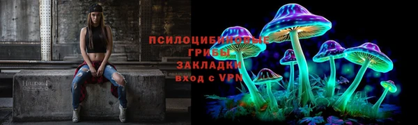 бошки Козельск