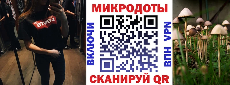 Псилоцибиновые грибы GOLDEN TEACHER  Купить  Красавино 
